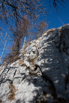 Veliki Rogatec 1